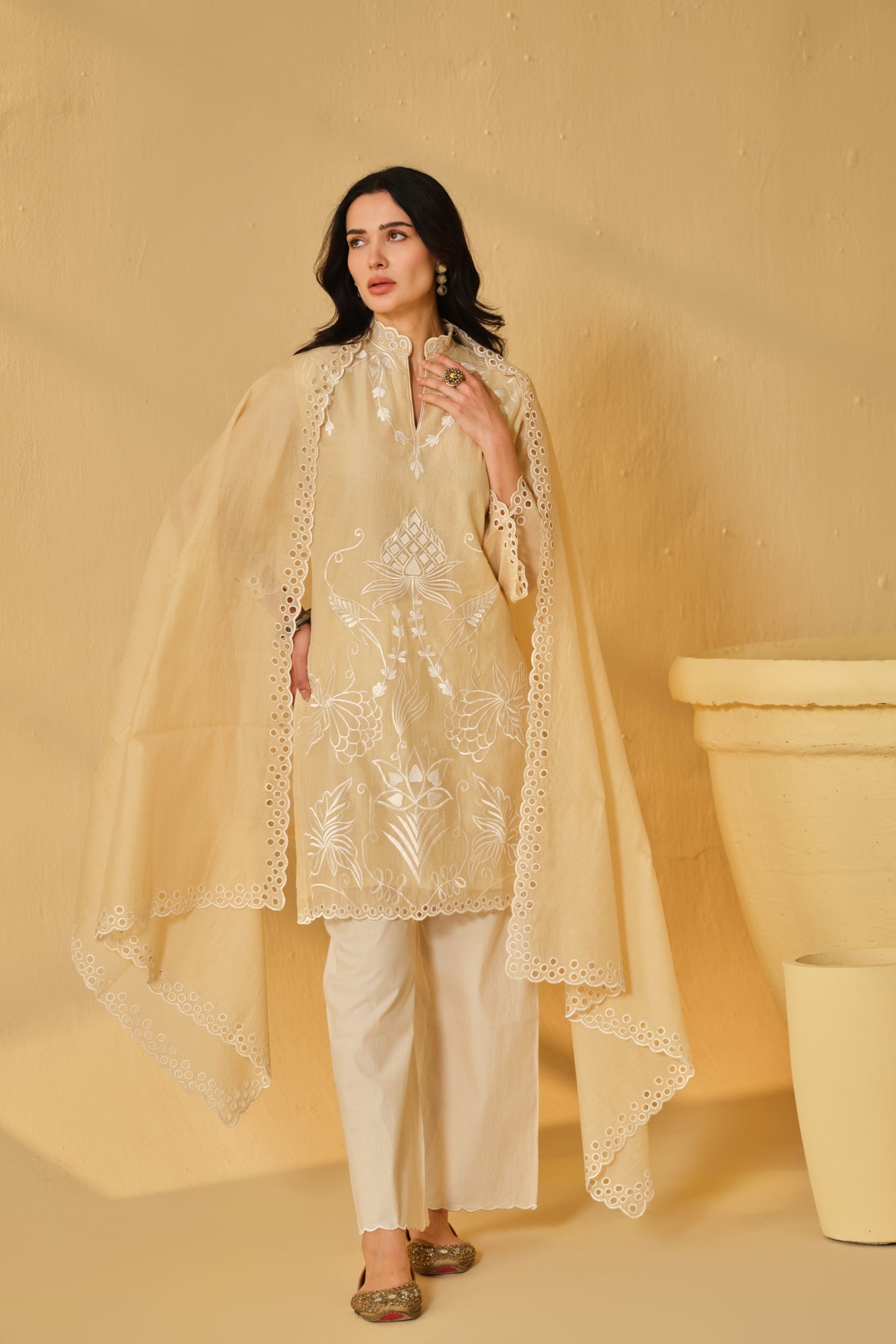 SUFIANA HAZE BEIGE KURTA SET WITH DUPATTA