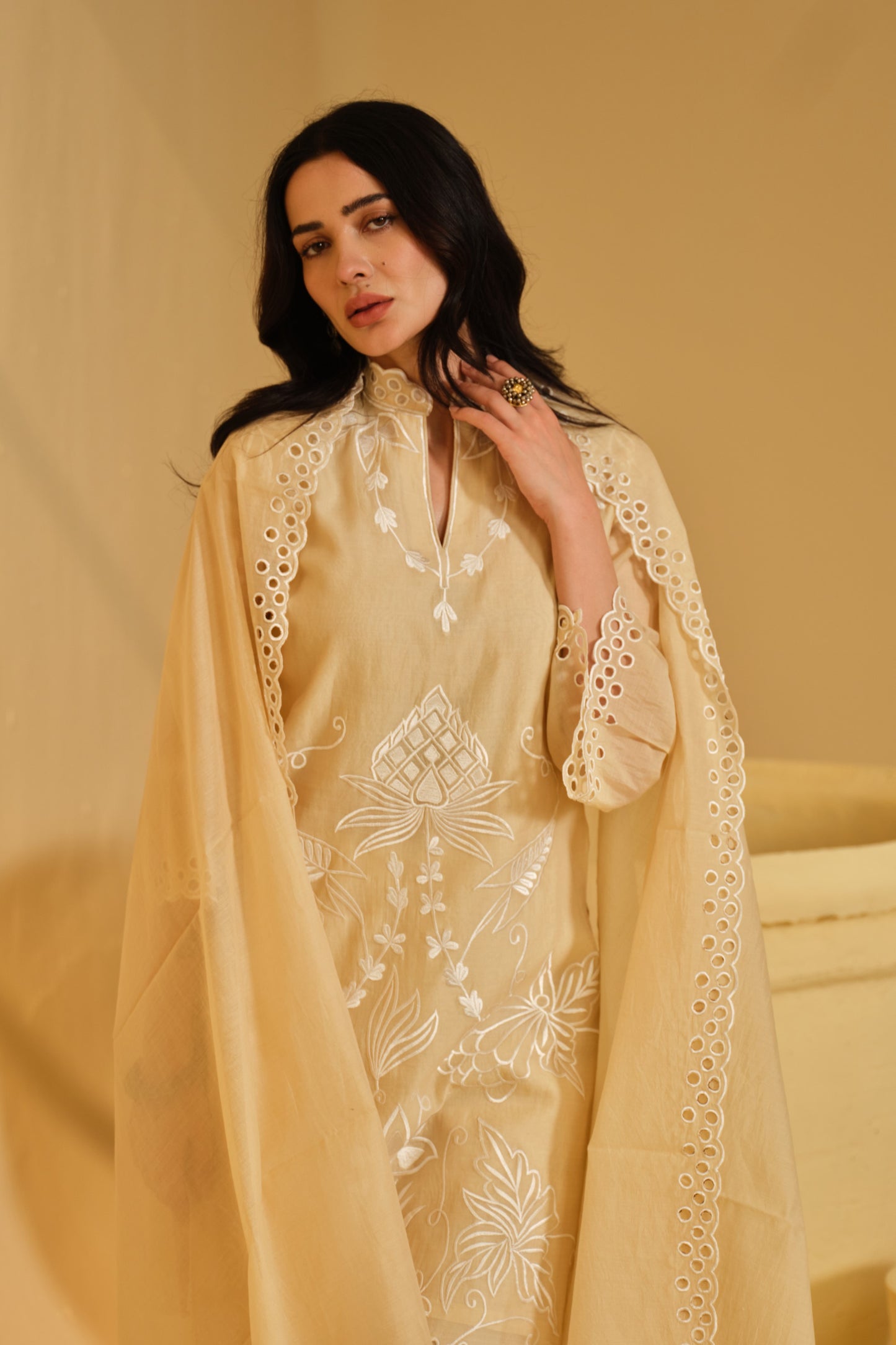 SUFIANA HAZE BEIGE KURTA SET WITH DUPATTA