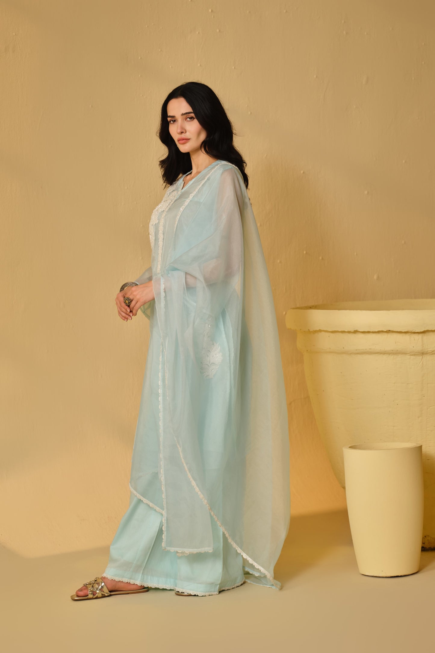 HAZE BLUE -WHITE ORGANZA WORK KURTA SET