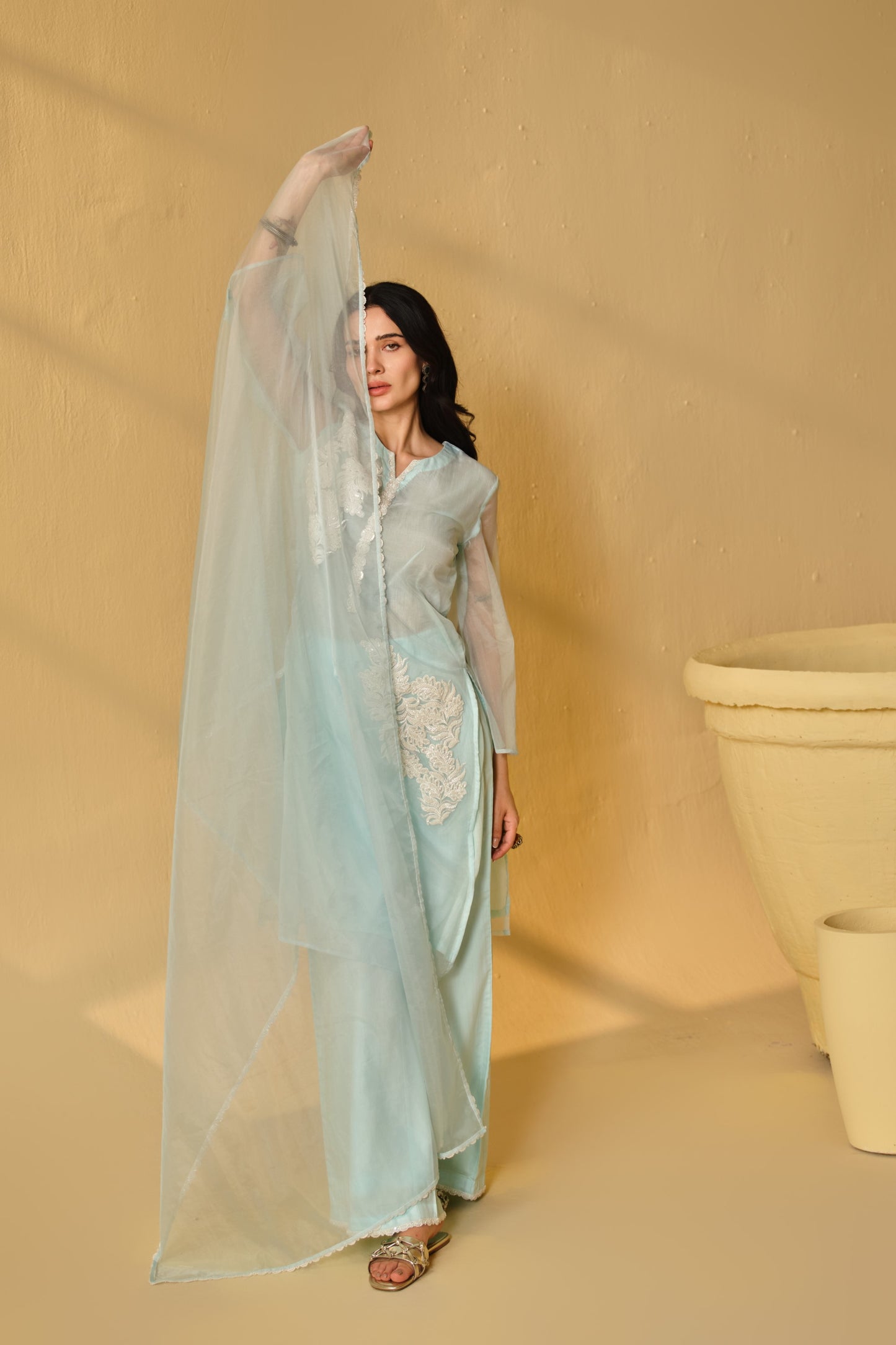 HAZE BLUE -WHITE ORGANZA WORK KURTA SET