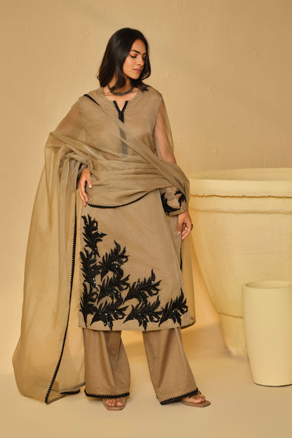BLACK-BEIGE WORK ORGANZA KURTA SET
